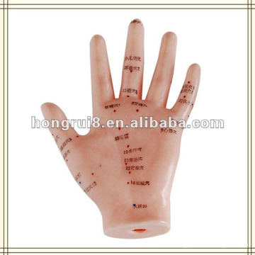 ISO Human Hand Acupuncture Model 13cm HR-509, ручная модель иглоукалывания